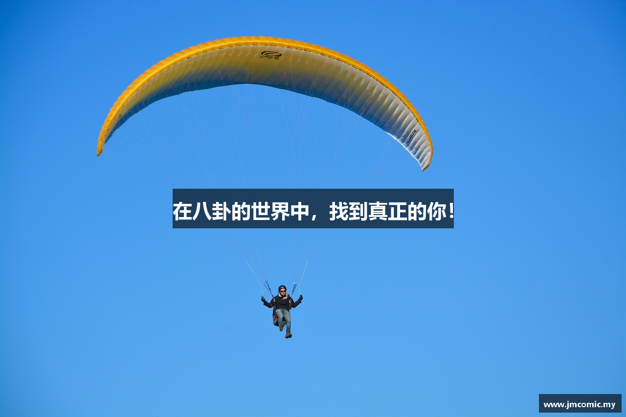 在八卦的世界中，找到真正的你！